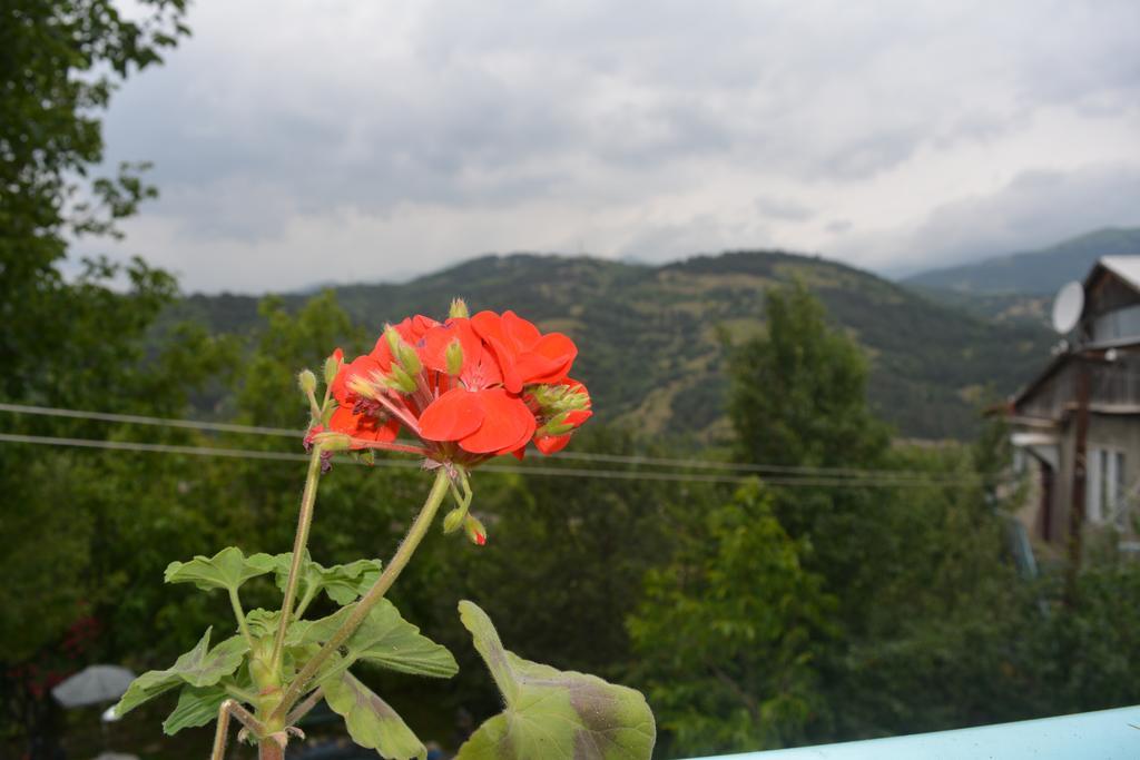 Sunny Sweet Home Dilijan Exterior photo