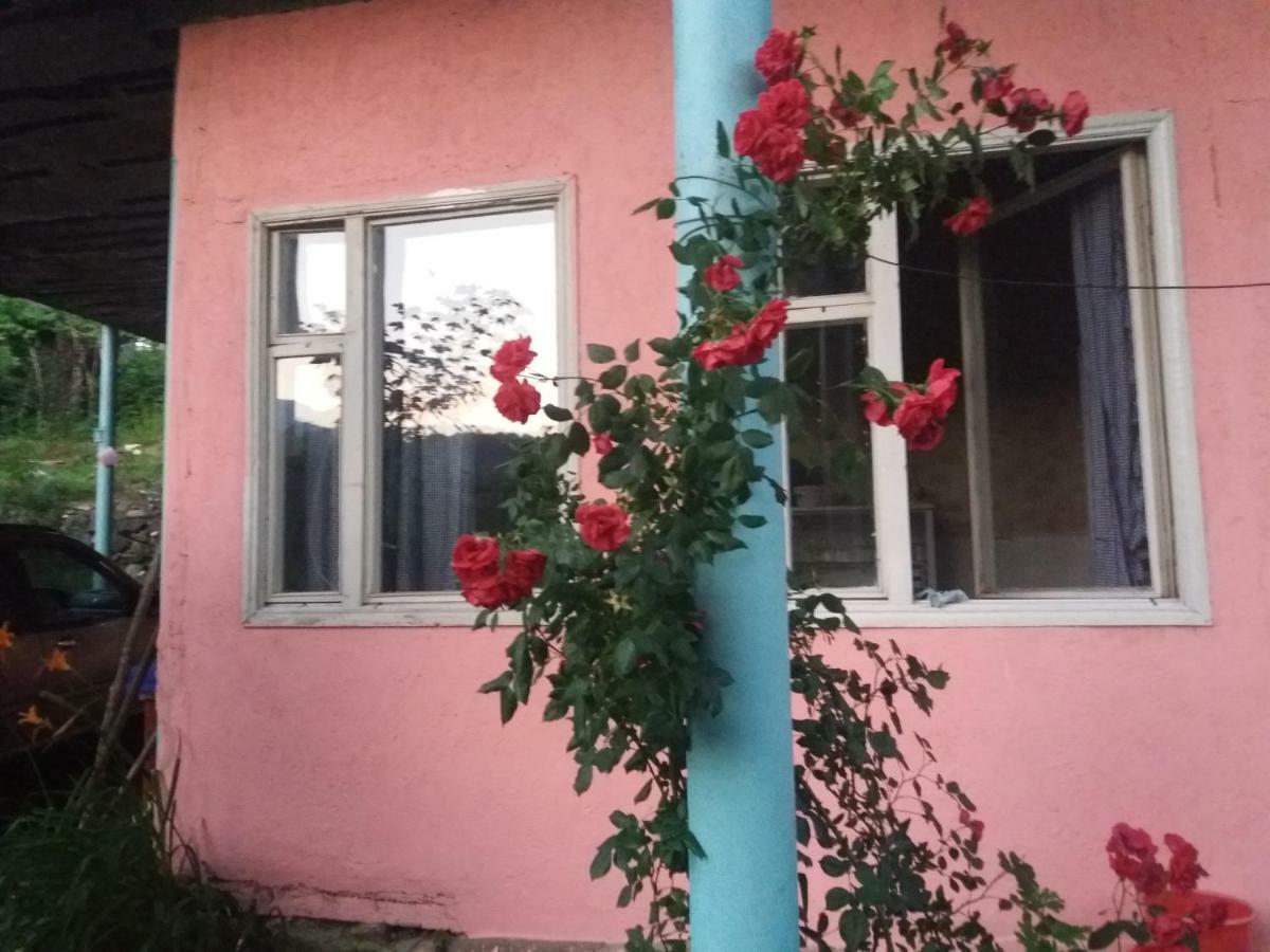 Sunny Sweet Home Dilijan Exterior photo